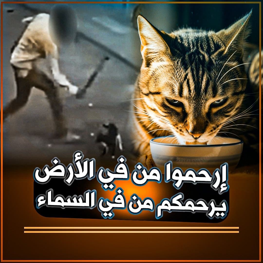 أدب الرحمة بالحيوان وفضل إطعام العجماوات في الإسلام